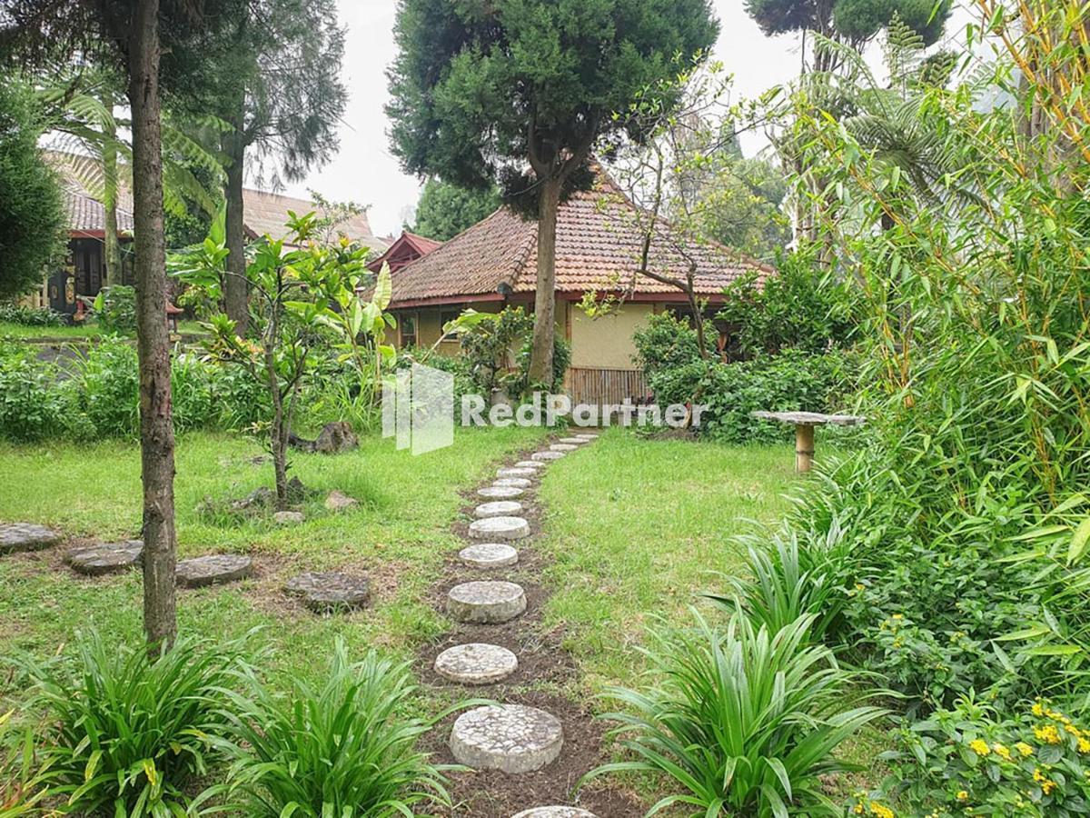 Hotel Yoschi'S Bromo At Desa Wisata Bromo Exterior foto